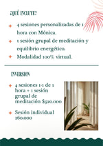 Programa de acompañamiento 1 a 1