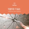 Nervio vago: el director de la orquesta - Beinnergy