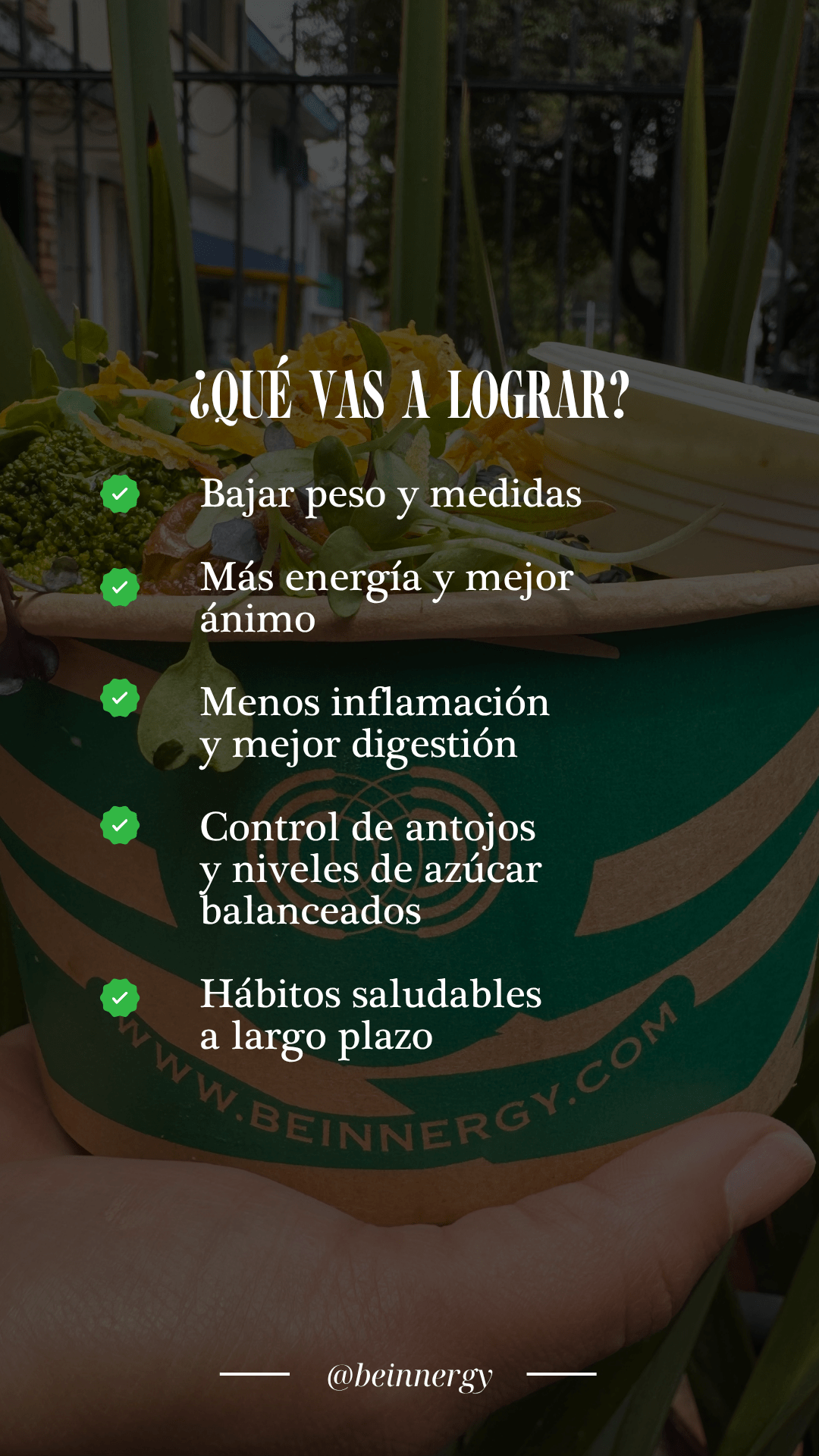 PROGRAMA BEINNERGY ALTO EN PROTEÍNA LOW CARB - Beinnergy